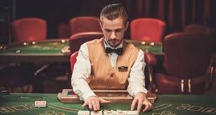 Вход на официальный сайт Kaktuz Casino